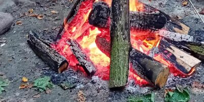 Dzień Pieczonego Ziemniaka