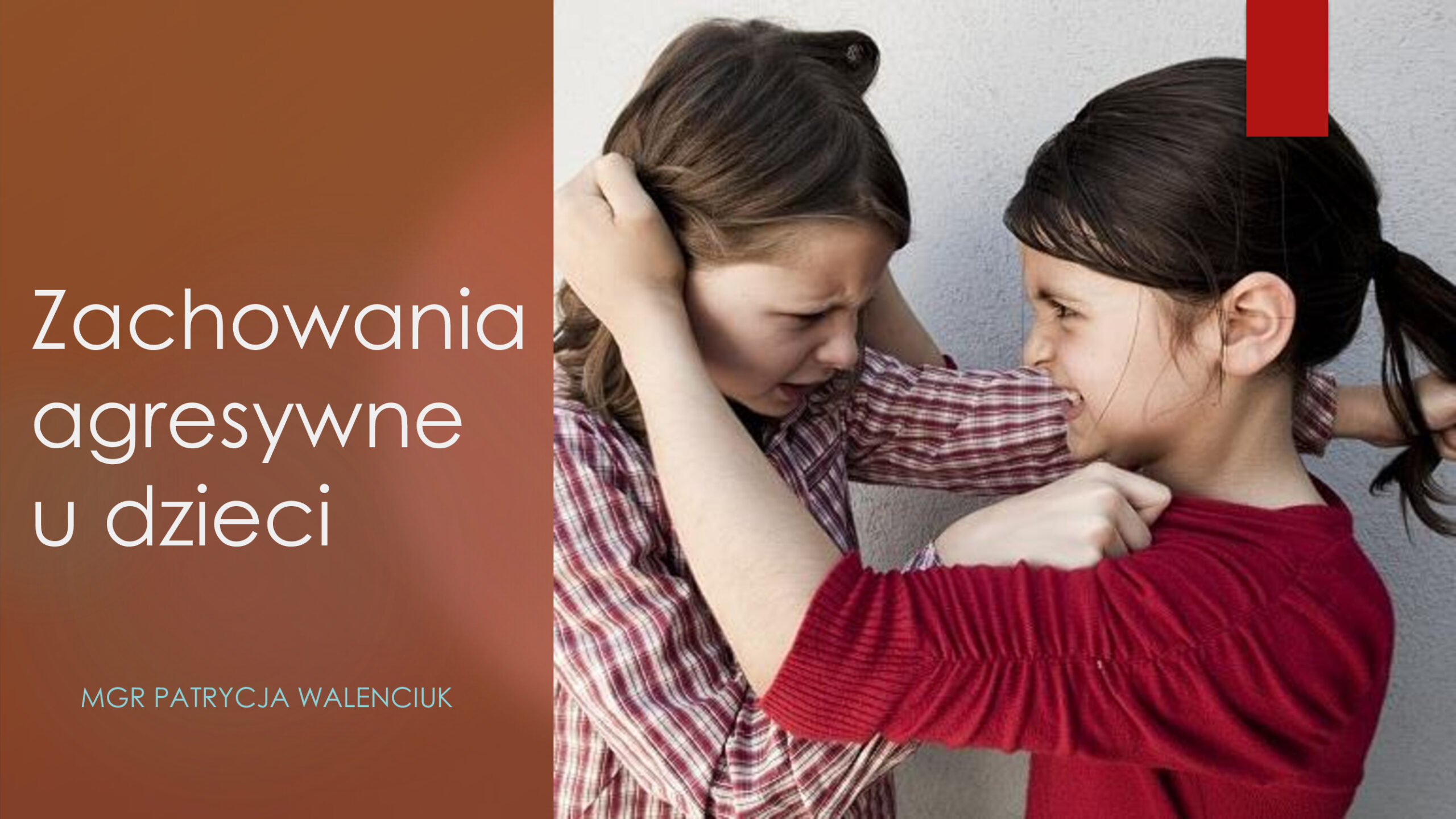 Zachowania agresywne u dzieci